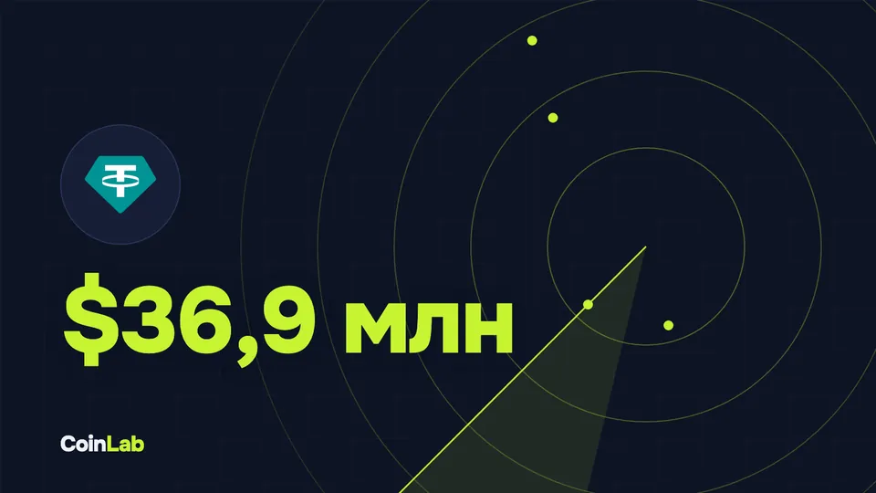 США получили из Нидерландов обвиняемого в отмывании $36,9 млн